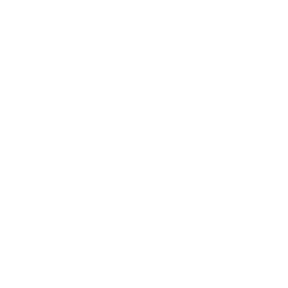icon-paleo